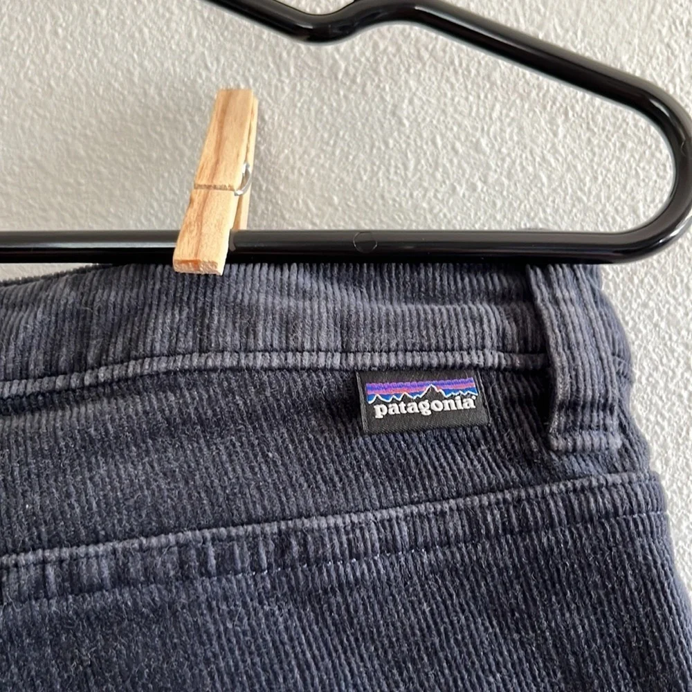 Patagonia Corduroy Pants